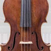 Auddict Master Solo Strings - Solo Viola Auddict Master Solo Strings - Solo Viola