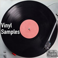 AudioFriend Vinyl Samples AudioFriend Vinyl Samples