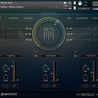 Heavyocity Mosaic Keys Heavyocity Mosaic Keys