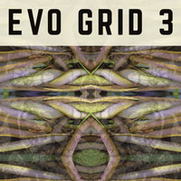 PP021 Evo Grid 3 PP021 Evo Grid 3
