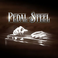 Pedal Steel Pedal Steel