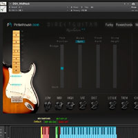 Pettinhouse Direct Guitar 4 Pettinhouse Direct Guitar 4