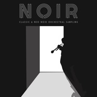 Sonokinetic Noir v1.2 Sonokinetic Noir v1.2