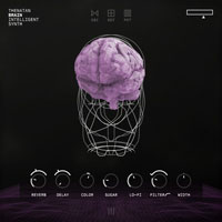 Thenatan Brain Intelligent Synth v1.0 Thenatan Brain Intelligent Synth v1.0