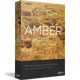 Virtual Guitarist Amber v1.0.1 Virtual Guitarist Amber v1.0.1