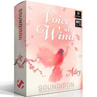 Voice of Wind Adey Voice of Wind Adey