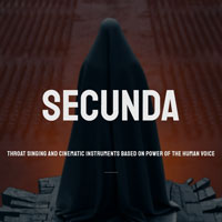 Wavelet Audio Secunda Wavelet Audio Secunda