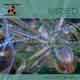 Wired. The Elements of Trance Refill Wired. The Elements of Trance Refill